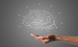 Knowledge management : entretenez une bonne gestion des connaissances en interne !