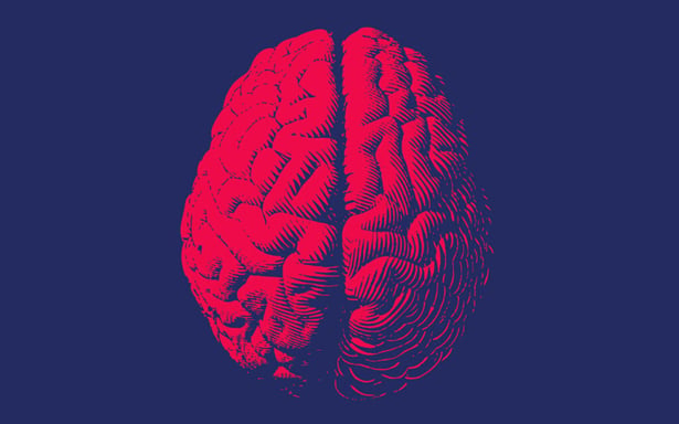 Illustration d'un cerveau en rouge et bleu marine